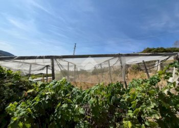 Casa indipendente Strada San Pietro, Sanremo - foto 10