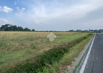 Agricultural land via montecatone, Imola - photo 4