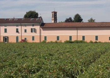 Independent house Via Alessandria, Casal Cermelli - photo 22