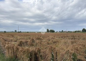 Rustico Via Comacchio, Ferrara (zona Cona) - foto 16