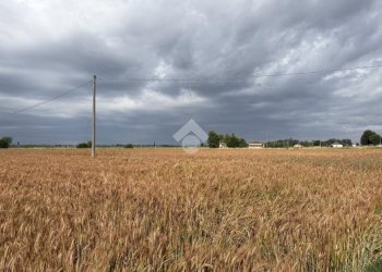 Rustico Via Comacchio, Ferrara (zona Cona) - foto 17