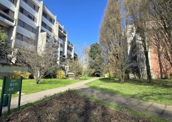 Trilocale Viale Abruzzi, Peschiera Borromeo - foto 26