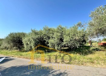Foto 3 - Terreno edificabile strada comunale sant'agnello
87, Elice - foto 3