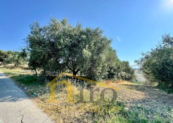 Foto 5 - Terreno edificabile strada comunale sant'agnello
87, Elice - foto 5