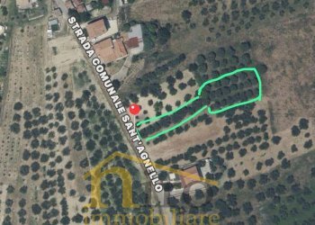 Foto 10 - Terreno edificabile strada comunale sant'agnello
87, Elice - foto 10