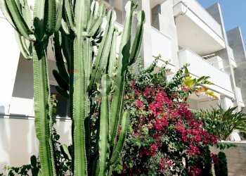 Giardino - Four-room apartment Via degli Impagliatori
 
14, Giovinazzo - photo 25