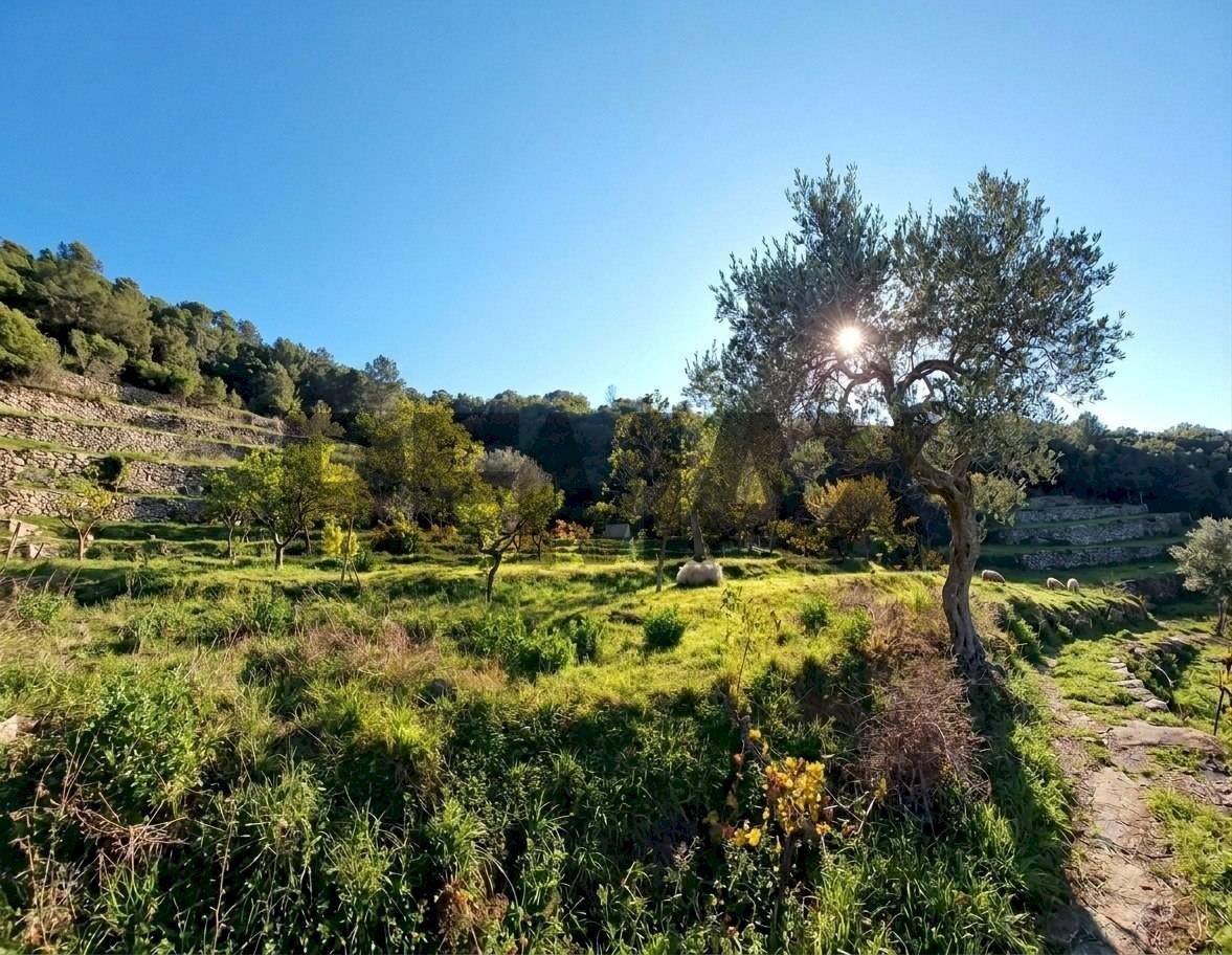 Vista delle montagne - Villa contrada rapputi
 
snc, Gratteri - foto 2