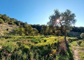 Vista delle montagne - Villa contrada rapputi
 
snc, Gratteri - foto 2