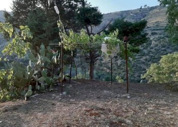 Giardino - Villa contrada rapputi
 
snc, Gratteri - foto 3