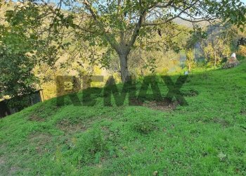 Giardino - Villa contrada rapputi
 
snc, Gratteri - foto 4