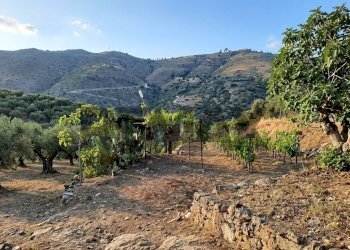 Vista delle montagne - Villa contrada rapputi
 
snc, Gratteri - foto 5