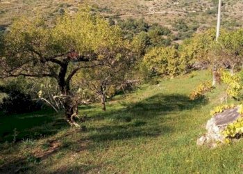 Vista delle montagne - Villa contrada rapputi
 
snc, Gratteri - foto 10
