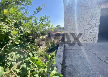 Giardino - Casa indipendente contrada castello di baida
snc, Castellammare del Golfo - foto 31