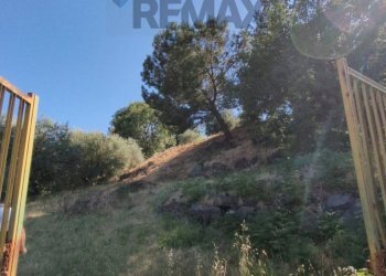 Giardino - Terreno edificabile Via Rosina Anselmi
snc, Trecastagni - foto 4