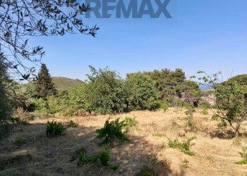 Giardino - Terreno edificabile Via Rosina Anselmi
snc, Trecastagni - foto 11