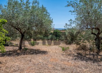 Giardino - Villa Via Ettore Majorana
 
33, Caltagirone - foto 14