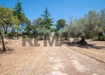 Giardino - Villa Via Ettore Majorana
 
33, Caltagirone - foto 23