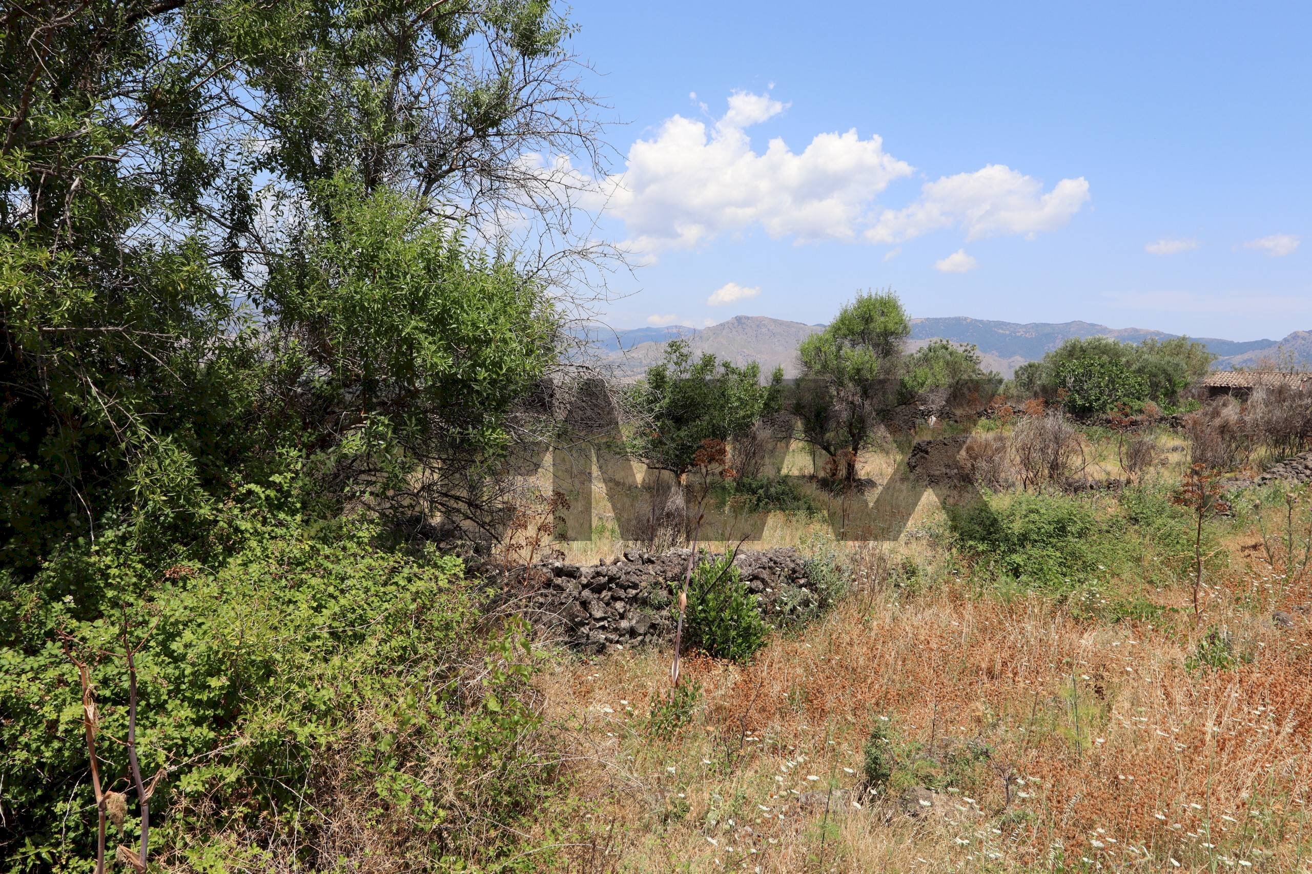 Vista delle montagne - Terreno agricolo Contrada Solicchiata
 
snc, Castiglione di Sicilia - foto 1