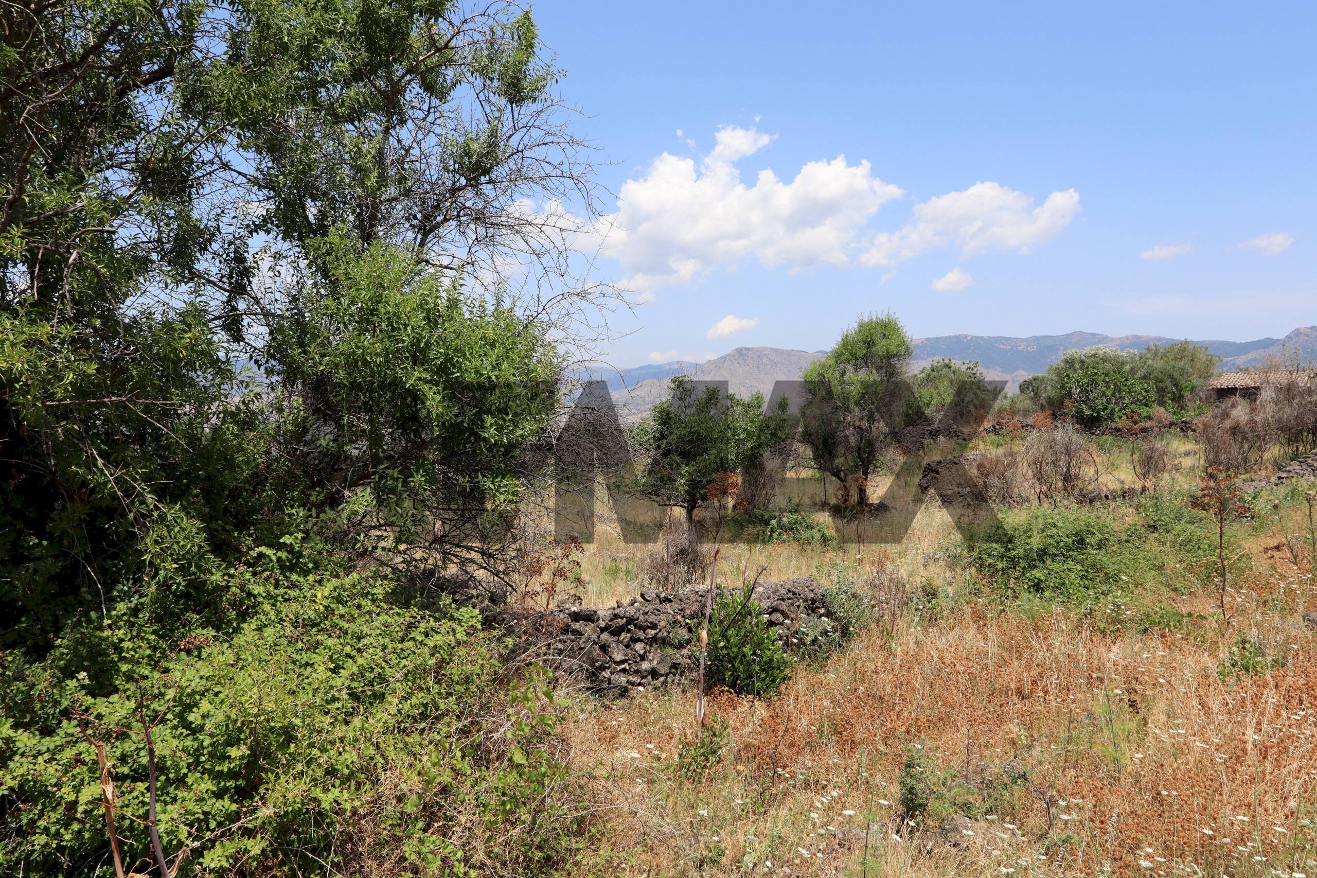 Vista delle montagne - Terreno agricolo Contrada Solicchiata
snc, Castiglione di Sicilia - foto 2