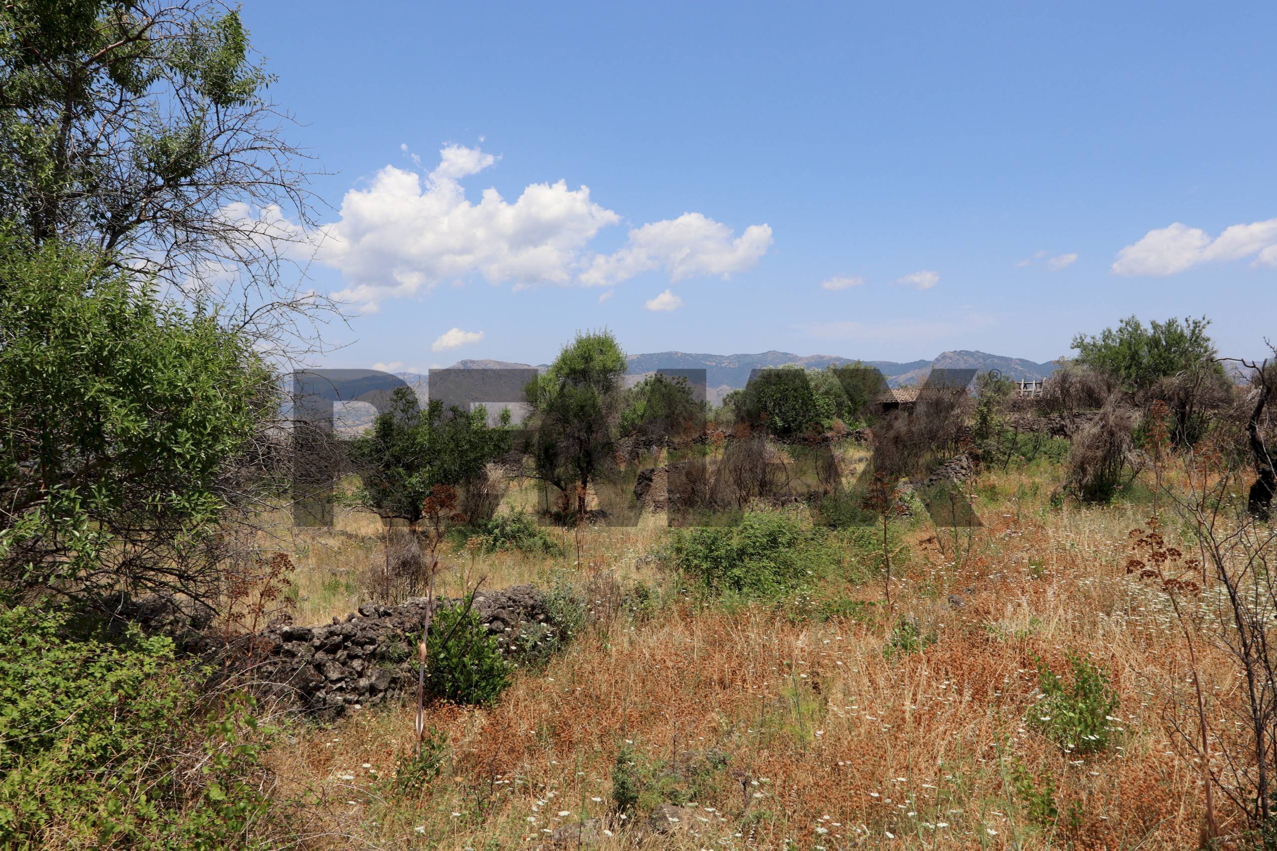 Vista delle montagne - Terreno agricolo Contrada Solicchiata
snc, Castiglione di Sicilia - foto 3