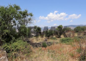 Vista delle montagne - Agricultural land Contrada Solicchiata
snc, Castiglione di Sicilia - photo 4