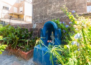 Giardino - Semi-detached house Via Policastro
 
128, Catania - photo 32