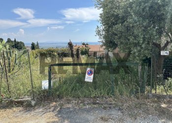 Giardino - Appartamento Via Casesi
 
212, Massarosa - foto 45