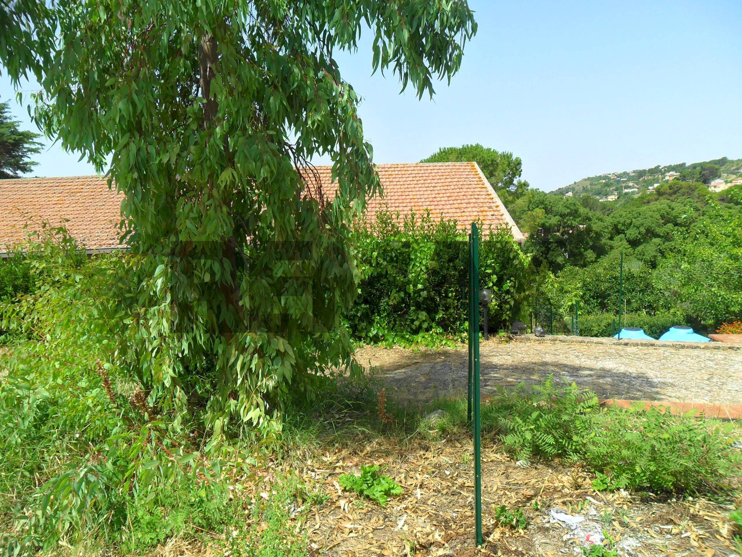 Giardino - Villa Viale Dei Miti
53, Enna - foto 3