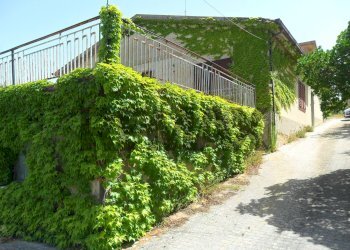 Giardino - Villa Viale Dei Miti
 
53, Enna - foto 22