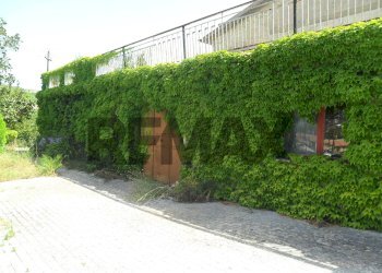 Giardino - Villa Viale Dei Miti
 
53, Enna - foto 24