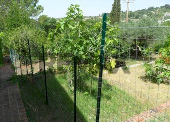 Giardino - Villa Viale Dei Miti
 
53, Enna - foto 27