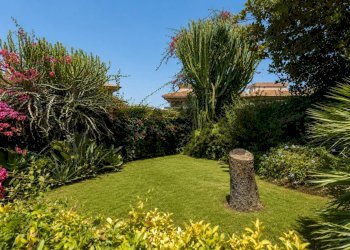 Giardino - Villa VIA PASSO GRAVINA
 
253, Catania - photo 5