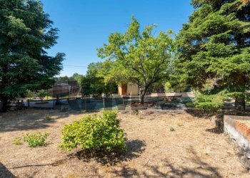Giardino - Villa Viale Dello Sport
 
52, Trecastagni - photo 6