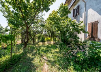 Giardino - Terraced Villa Via Padre Kolbe
 
21/A, Commessaggio - photo 36