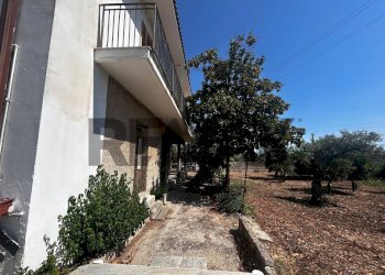 Giardino - Villa RONCO A VIA GOLDONI
 
SN, Priolo Gargallo - foto 5