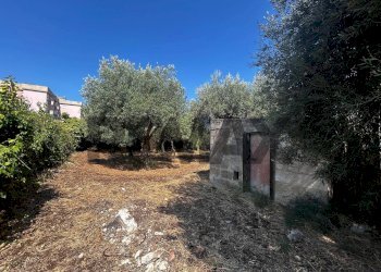 Giardino - Villa RONCO A VIA GOLDONI
 
SN, Priolo Gargallo - foto 12