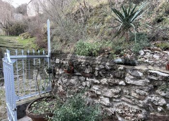 Giardino - Casa indipendente VIA CASANOVA
 
27, Bagni di Lucca - foto 6