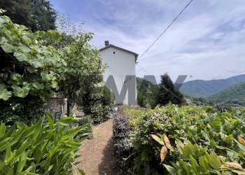 Giardino - Casa indipendente LOCALITA' FOSSA A MONTE
 
11, Bagni di Lucca - foto 28