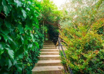 Foto 18 - Villa Strada di santalbino
 
8, Stresa - foto 18