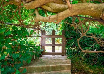 Foto 19 - Villa Strada di santalbino
 
8, Stresa - foto 19