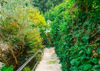 Foto 20 - Villa Strada di santalbino
 
8, Stresa - foto 20