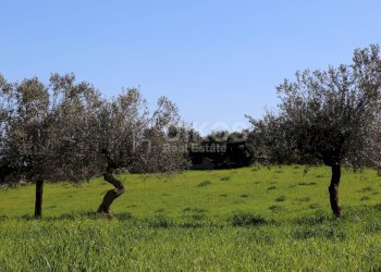 Foto 18 - Terreno agricolo sant'elia, Noto - foto 18