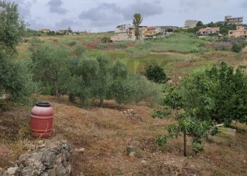 Giardino - Terreno agricolo contrada coda di volpe
Snc, Santa Flavia - foto 10