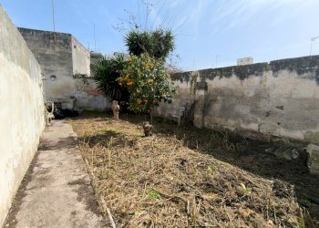 Giardino - Independent house Via Borgo Antico
 
13-15, Mesagne - photo 26