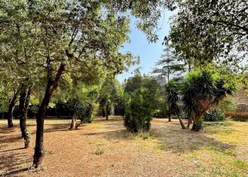 Giardino - Four-room apartment Via Cl 33
 
13, Palermo - photo 6