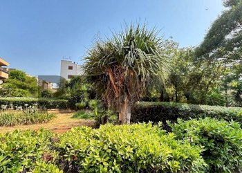 Giardino - Four-room apartment Via Cl 33
 
13, Palermo - photo 7