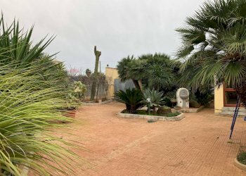 Giardino - Villa Via Taranto
30, Mazara del Vallo - foto 72