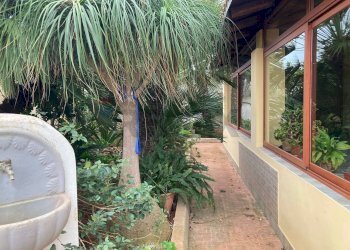 Giardino - Villa Via Taranto
30, Mazara del Vallo - foto 75