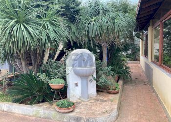 Giardino - Villa Via Taranto
30, Mazara del Vallo - foto 76