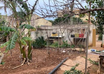 Giardino - Villa Via Taranto
30, Mazara del Vallo - foto 82